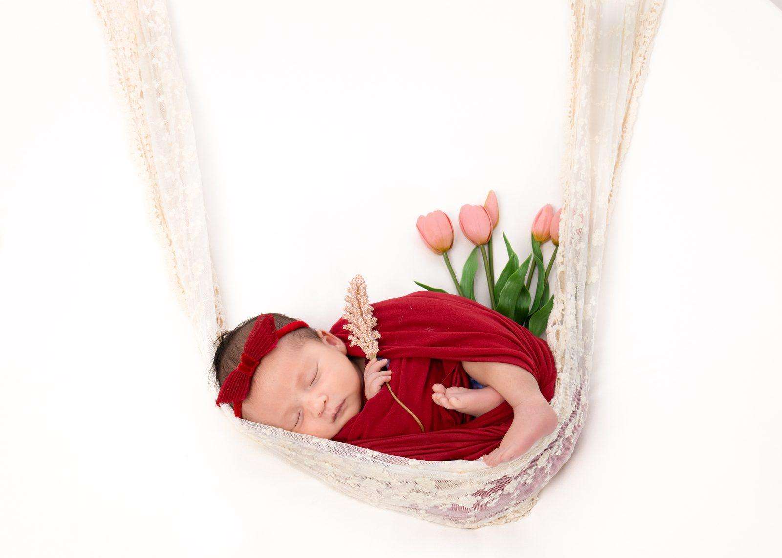 Newborn — hammock tulips